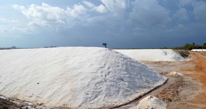 ලක් ලුනු මිල පහළ දමයි – සතොසෙන් නව ලුනු පැකට්ටුවක් අඩු මිලට