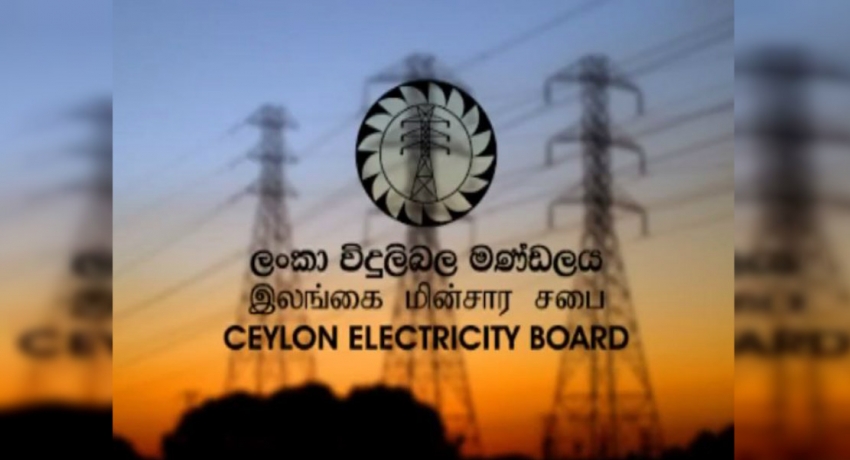 විදුලිබල මණ්ඩලයේ සමාගම් සියල්ල රජය සතුයි