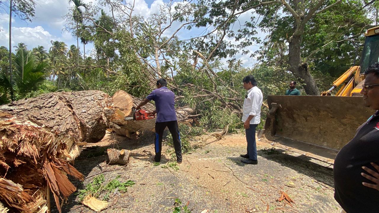 තලාව ප්‍රාදේශිය සභාවේ සභාපති ඇතුළු මන්ත්‍රීවරු පාර දෙපස ගස් කපලා…
