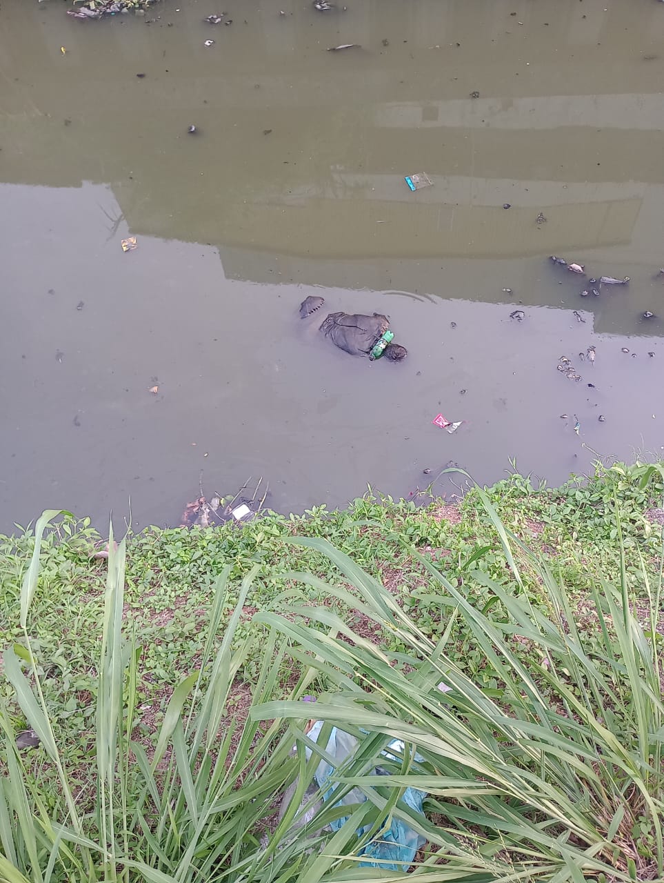 නාඳුණන මළ සිරුරක් ග්‍රෑන්ඩ්පාස් කුණු ඇලේ