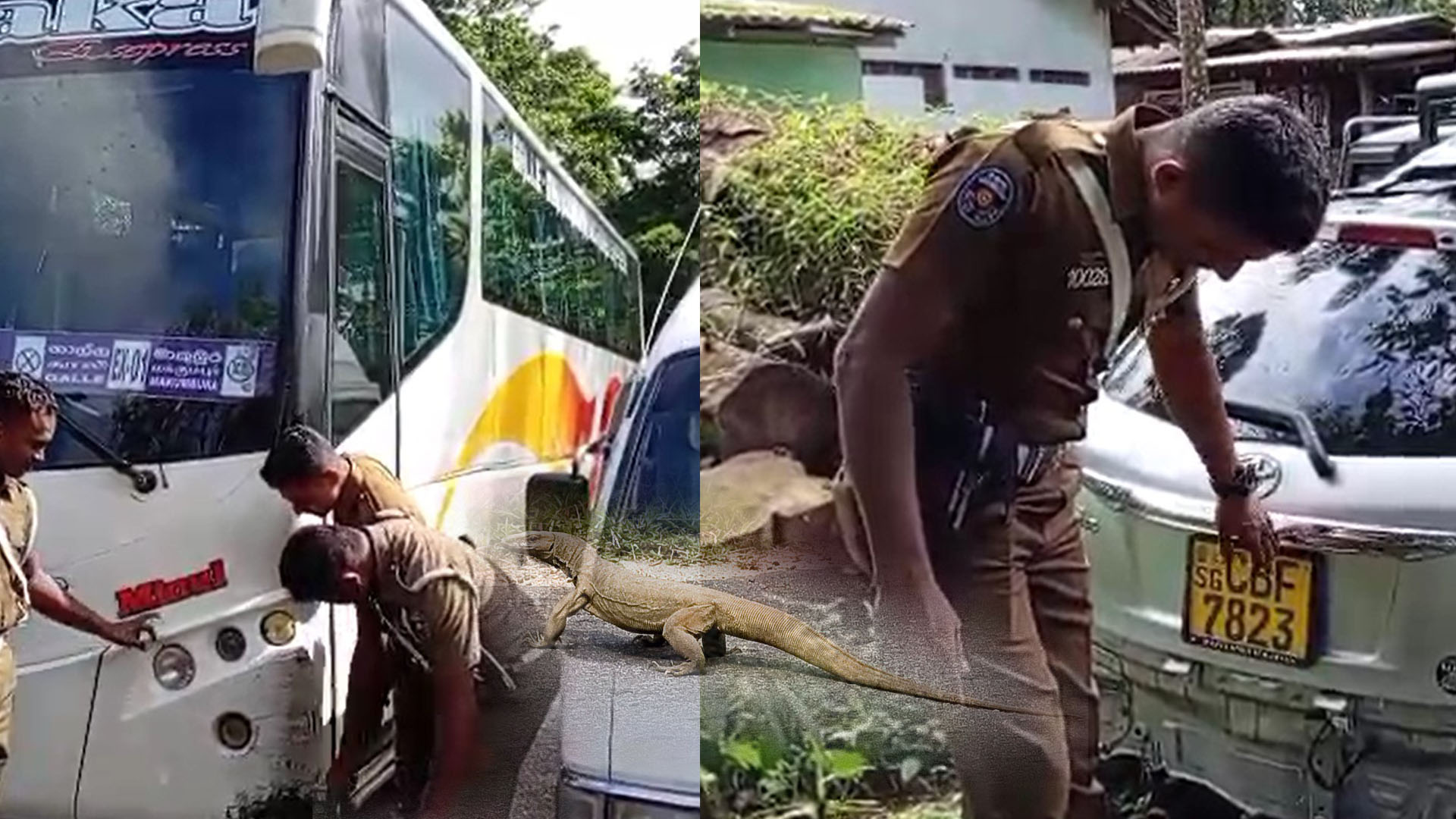 දක්ෂිණ අධිවේගයේ දී තලගොයෙක් වාහන තුනක් හප්පයි