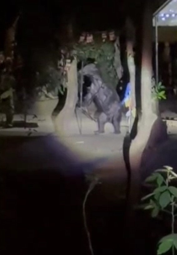 කැබිලිත්ත දේවාලයට ආ වලස් අමුත්තා (VIDEO) කැබිලිත්ත දේවාලයට ආ වලස් අමුත්තා (VIDEO)