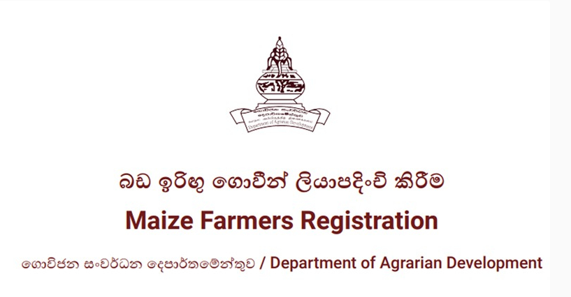 2025/2026 මහ කන්නයේ බඩඉරිඟු ගොවීන් ලියාපදිංචි කෙරේ
