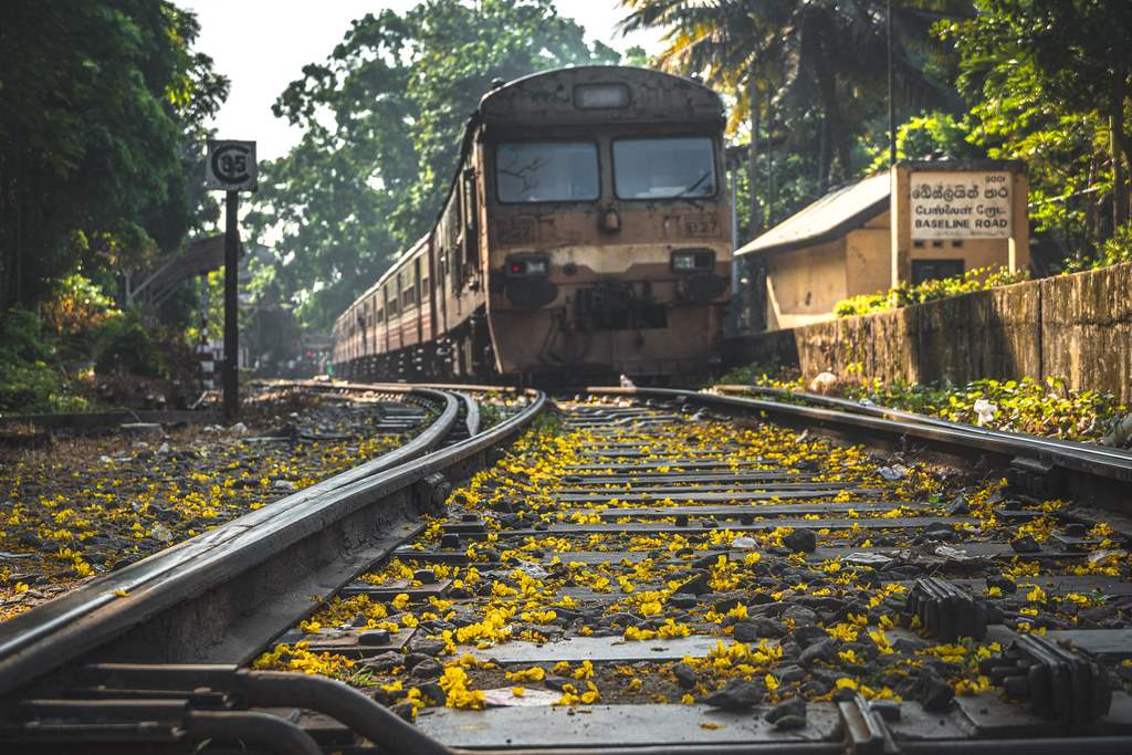 කැලණි වැලි දුම්රිය මාර්ගයේ බේස්ලයින් – නාරාහේන්පිට මහා මාර්ගයක් රථ වාහන ගමනා ගමනයට අද රාත්‍රියේ වැසෙයි