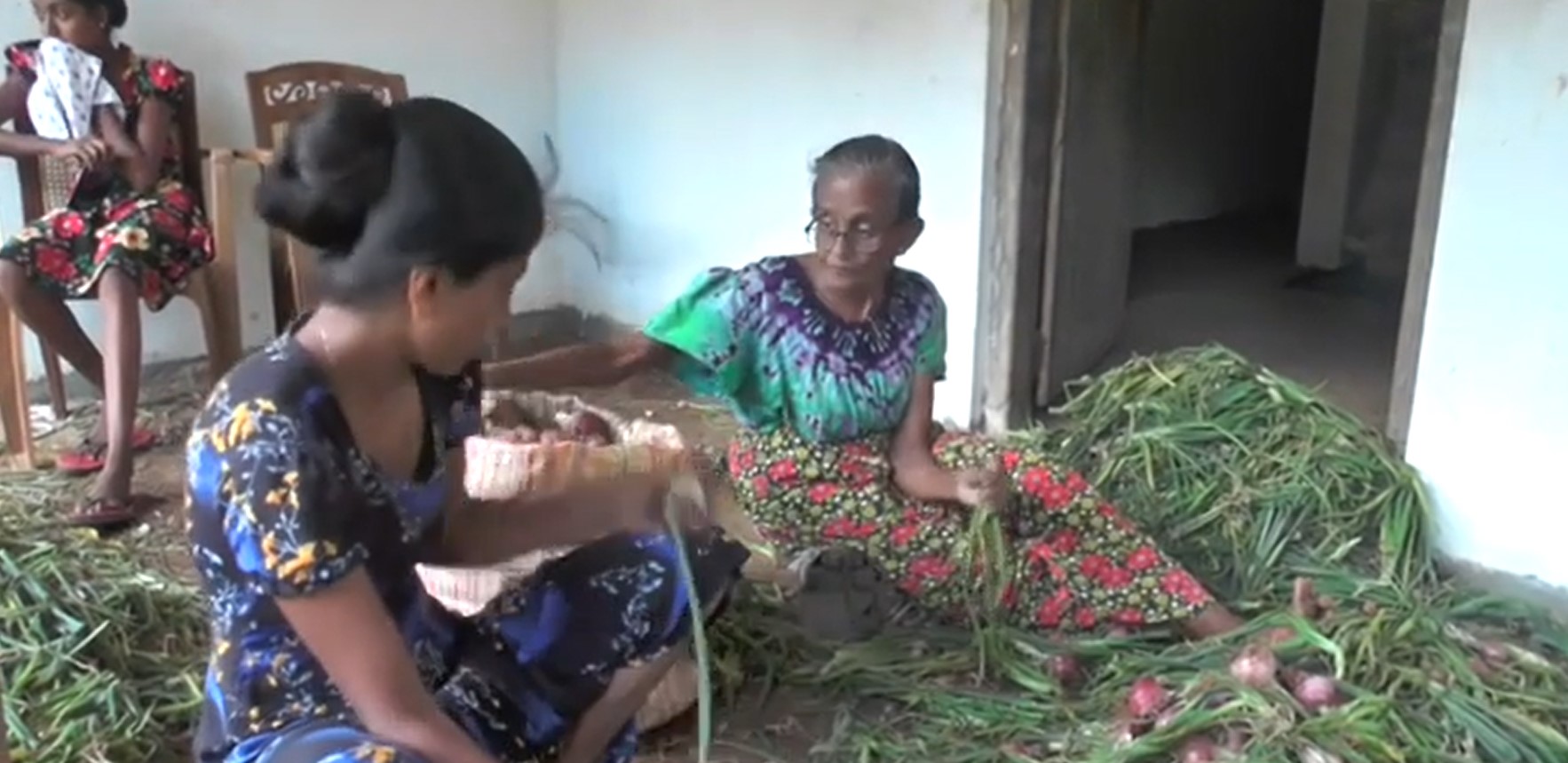 බී ළුණු ගොවීන්ට ඇඬෙන්න ළඟයි – කදුළු පිසින්න ආණ්ඩුවේ ඇමතිවරුන් සොයයි බී ළුණු ගොවීන්ට ඇඬෙන්න ළඟයි – කදුළු පිසින්න ආණ්ඩුවේ ඇමතිවරුන් සොයයි
