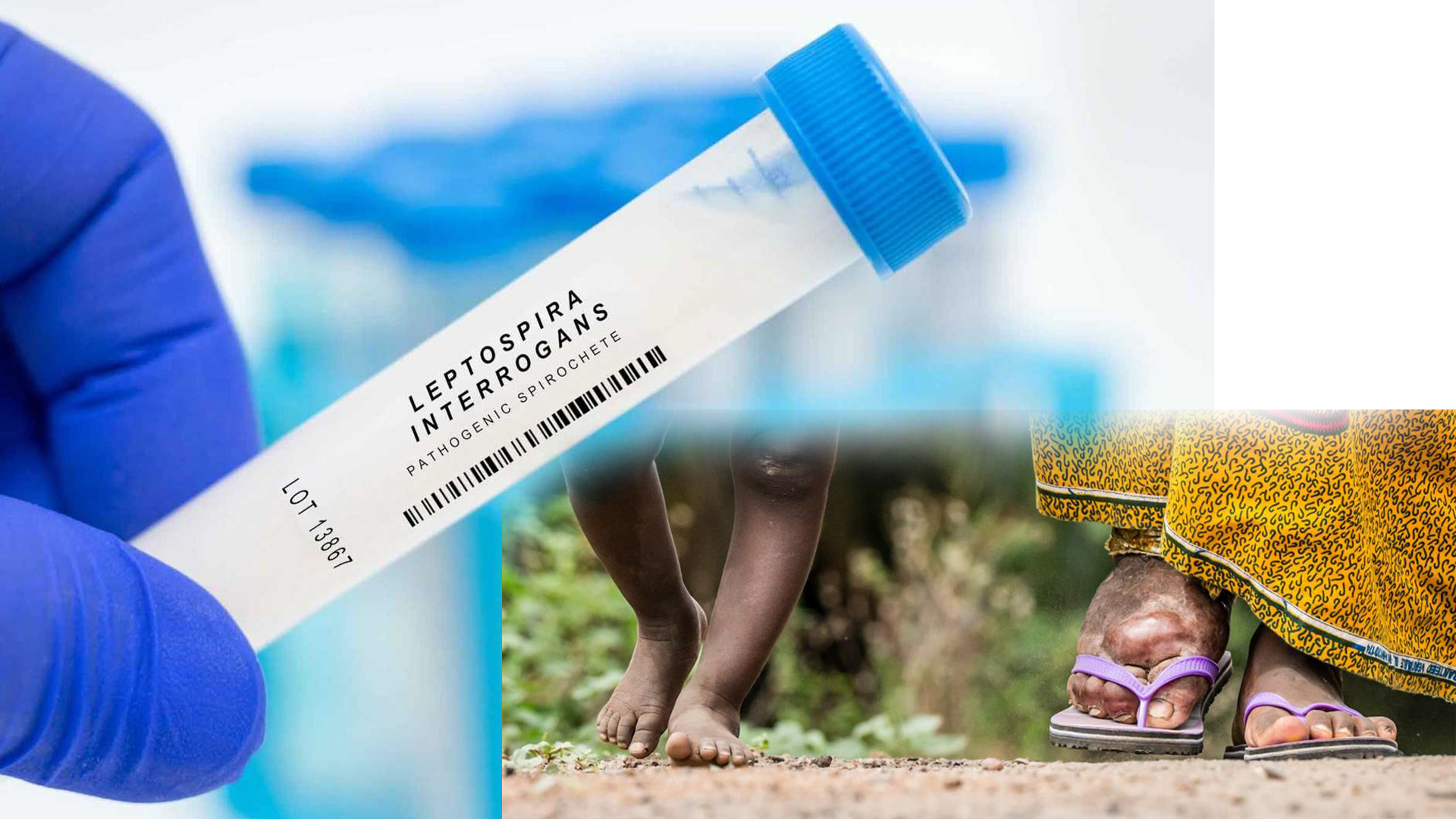 අසත්ය ප්රචාර නිසා රාත්රියේ සිදුකරන බරවා පරීක්ෂණවලට බාධා (VIDEO) අසත්ය ප්රචාර නිසා රාත්රියේ සිදුකරන බරවා පරීක්ෂණවලට බාධා (VIDEO)