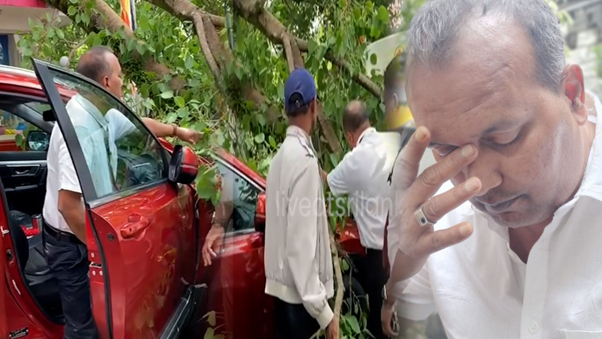 බෝ ගසක අත්තක් කඩා වැටී බදුල්ලේ “හිතහොඳ දොස්තර” හාස්කමකින් මෙන් බේරෙයි! බෝ ගසක අත්තක් කඩා වැටී බදුල්ලේ “හිතහොඳ දොස්තර” හාස්කමකින් මෙන් බේරෙයි!