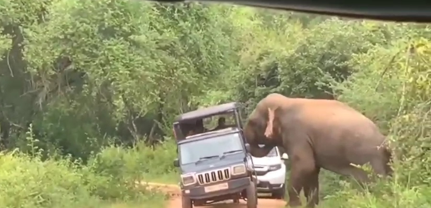 වස්ගමුව ජාතික වනෝද්යානයේ දී “අලි” අනතුරකින් සංචාරකයින් පිරිසක් බේරෙයි වස්ගමුව ජාතික වනෝද්යානයේ දී “අලි” අනතුරකින් සංචාරකයින් පිරිසක් බේරෙයි