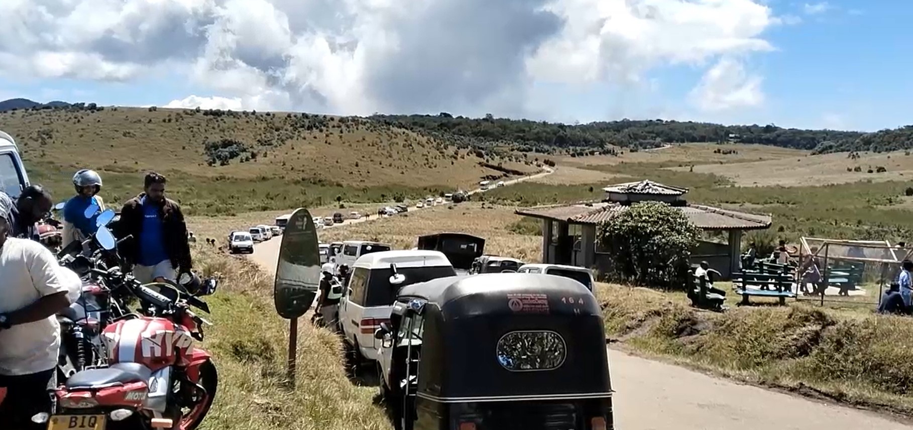 වසර 12 කට වරක් පිපෙන “නෙළු” මල් බලන්න විශාල පිරිසක් හෝට්න් තැන්නට වසර 12 කට වරක් පිපෙන “නෙළු” මල් බලන්න විශාල පිරිසක් හෝට්න් තැන්නට