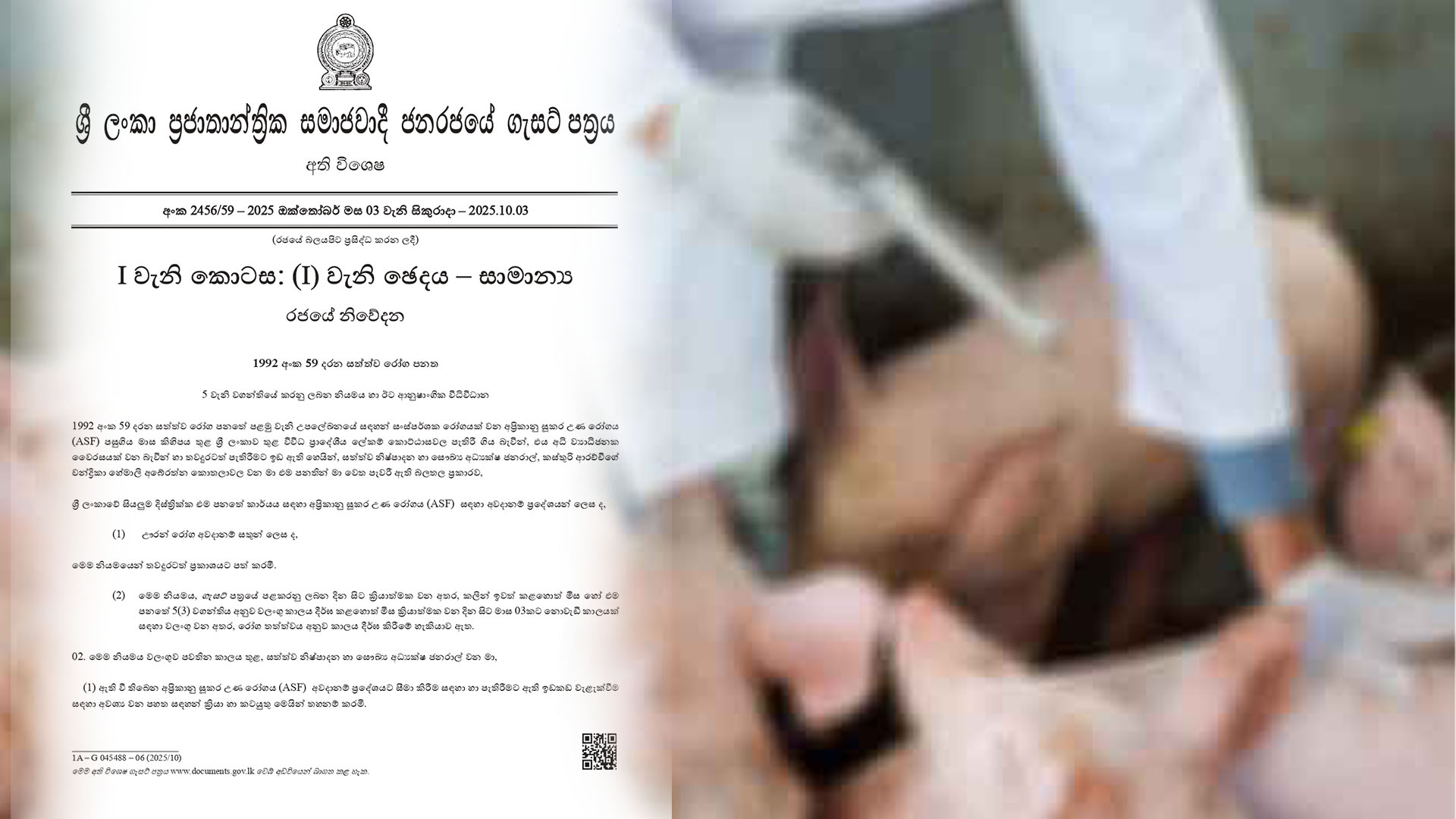 සූකර උණ රෝගය පැතිරෙන නිසා අති විශේෂ ගැසට් නිවේදනයකින් ලංකාවම අවදානම් කලාපයක් කරයි සූකර උණ රෝගය පැතිරෙන නිසා අති විශේෂ ගැසට් නිවේදනයකින් ලංකාවම අවදානම් කලාපයක් කරයි
