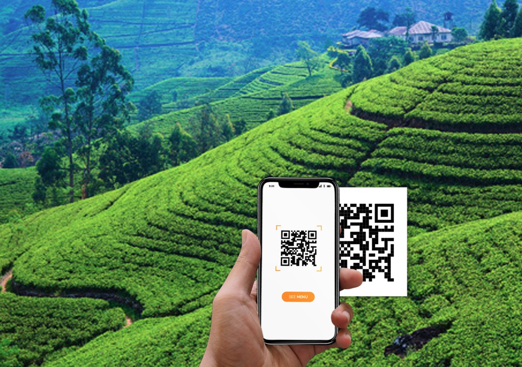 තේ පොහොර QR ක්‍රමයට ගන්න නොවැම්බර් 15 කලින් ලියාපදිංචි වන්න