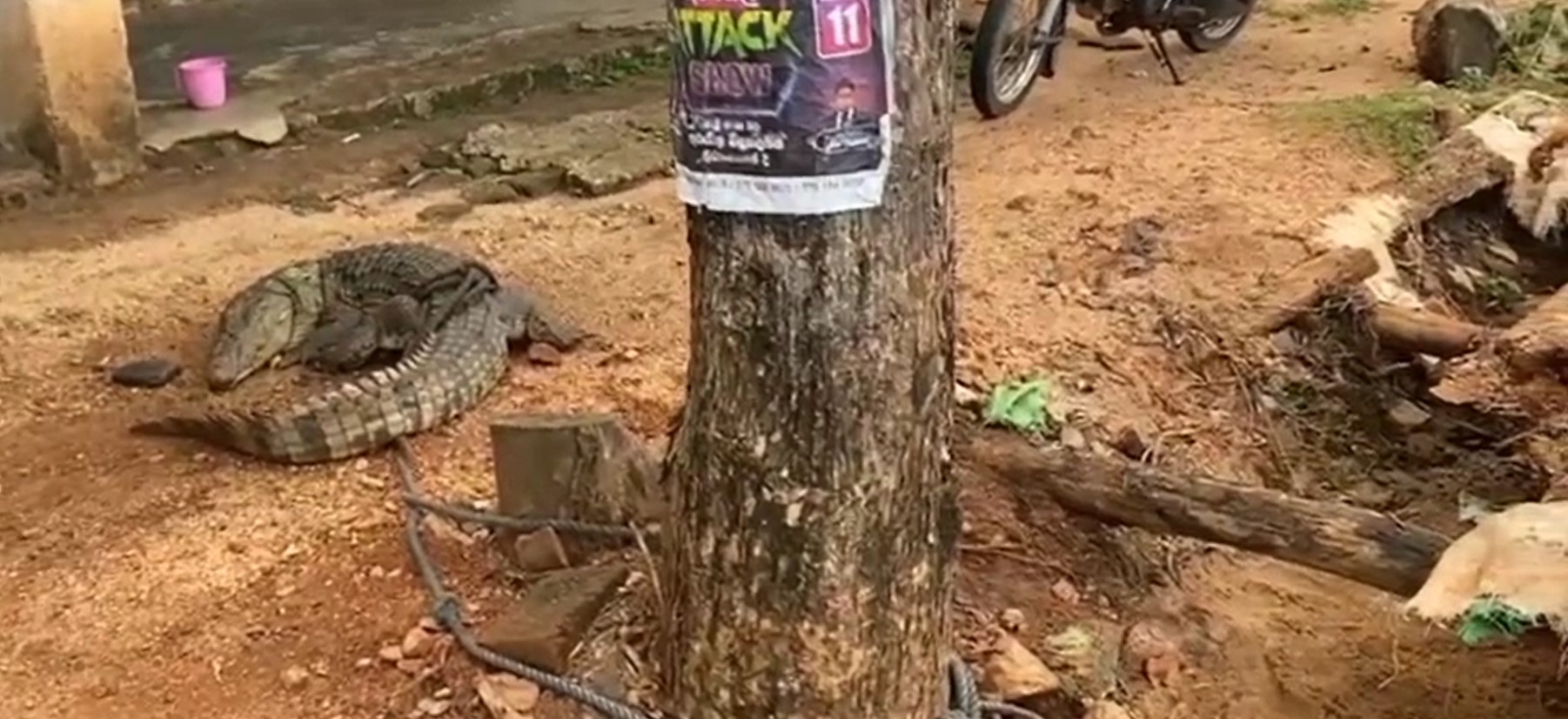 නිවසකට පැමිණි කිඹුලකු ගම්වාසීන් අල්ලාගෙන තිරප්පනේ වනජීවී නිලධාරීන්ට කිව්වත් තාම ඇවිත් නෑ නිවසකට පැමිණි කිඹුලකු ගම්වාසීන් අල්ලාගෙන තිරප්පනේ වනජීවී නිලධාරීන්ට කිව්වත් තාම ඇවිත් නෑ