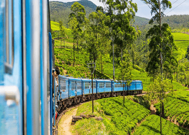 උඩරට මාර්ගයේ පිළී පැනීමක්… උඩරට මාර්ගයේ පිළී පැනීමක්…