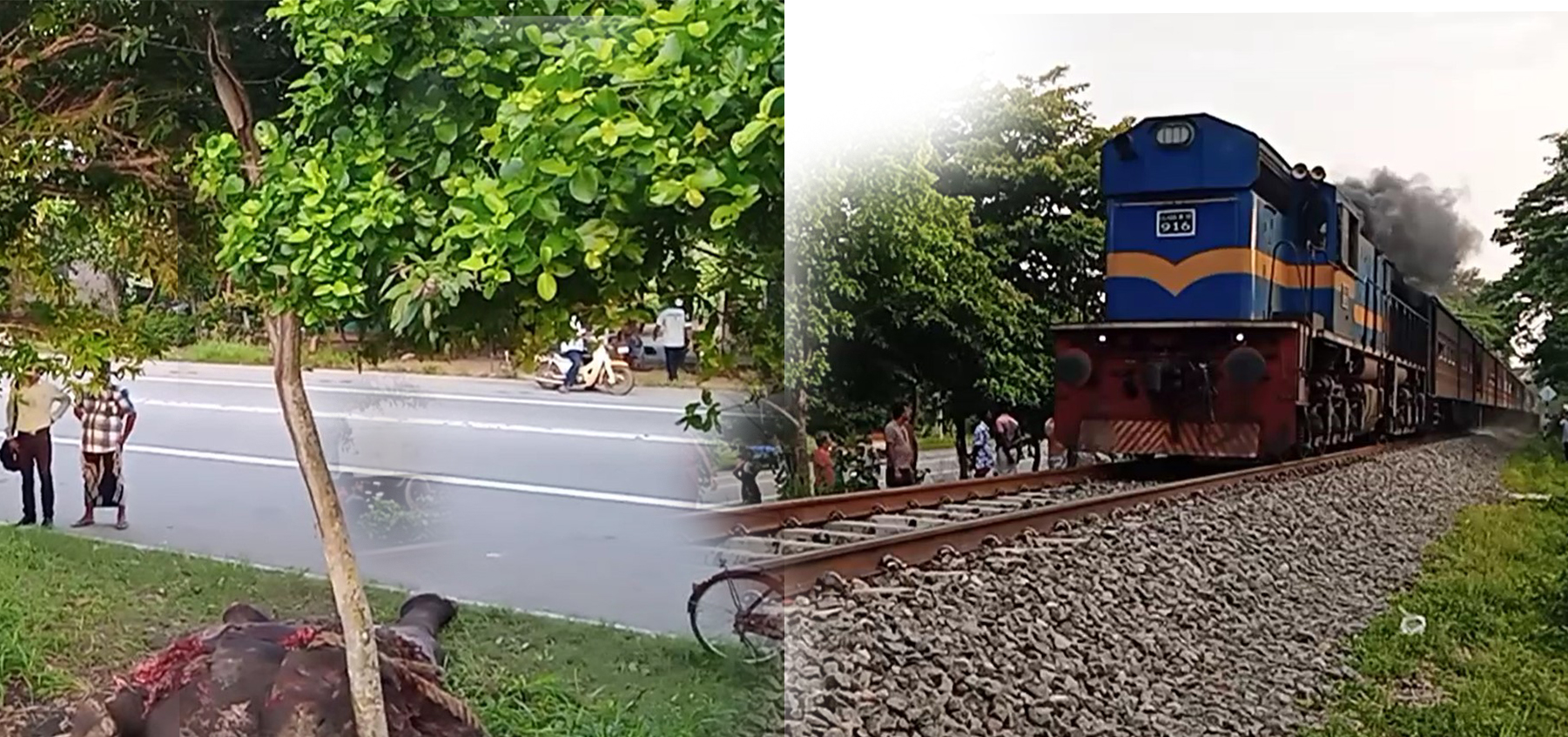 අනුරාධපුරය රාත්රී භාණ්ඩ ප්රවාහන දුම්රියේ ගැටී  වන අලියෙක් මරුට අනුරාධපුරය රාත්රී භාණ්ඩ ප්රවාහන දුම්රියේ ගැටී  වන අලියෙක් මරුට
