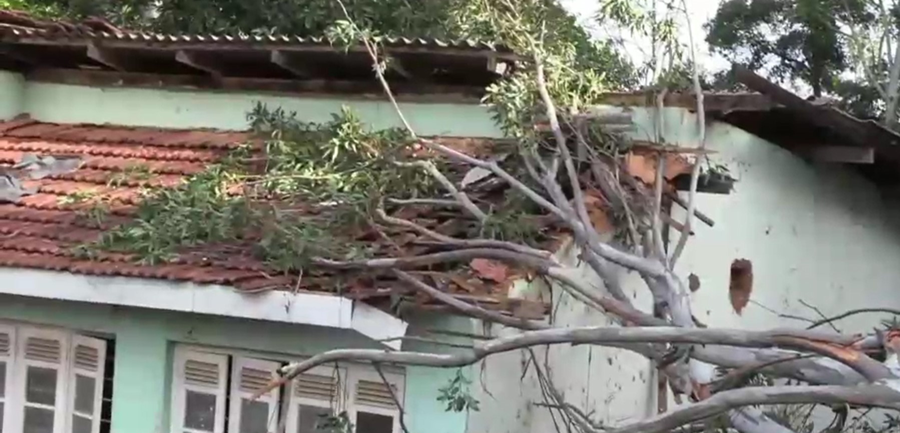 ඌව පරණගම අධික සුළගින් නිවාස 3 කට හානි – ගස් කඩා වැටිලා