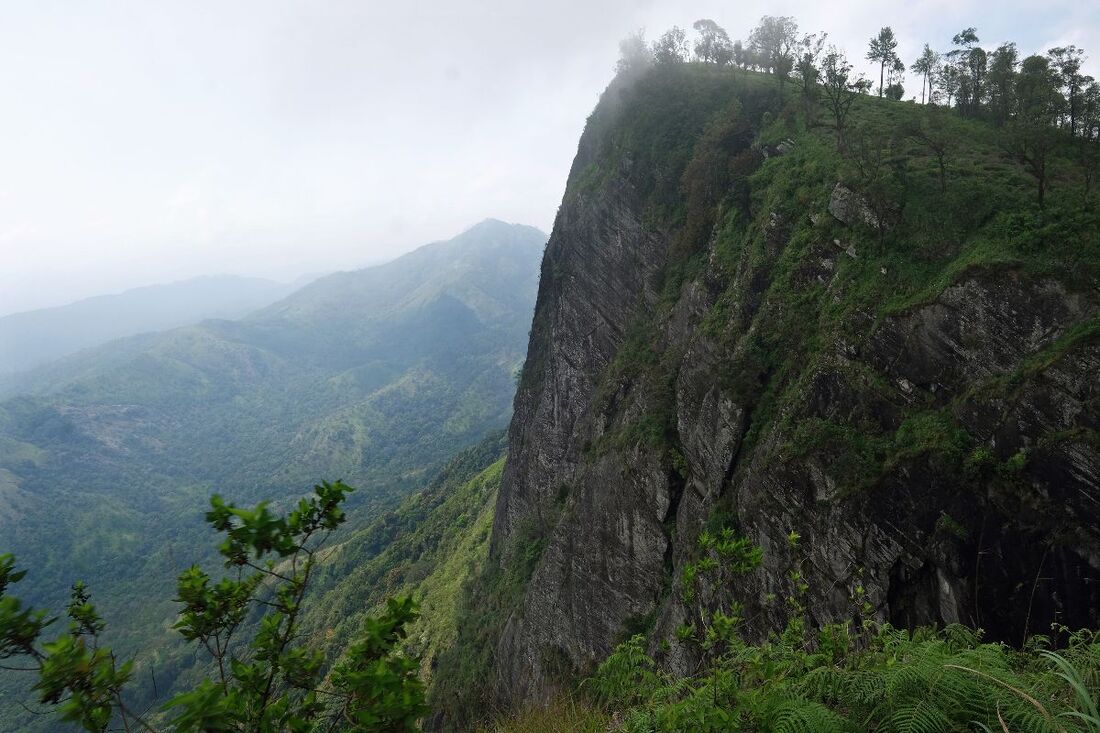 පුංචි ලෝකාන්තේ ගිය පිරිසකට බඹර ප්‍රහාරයක්