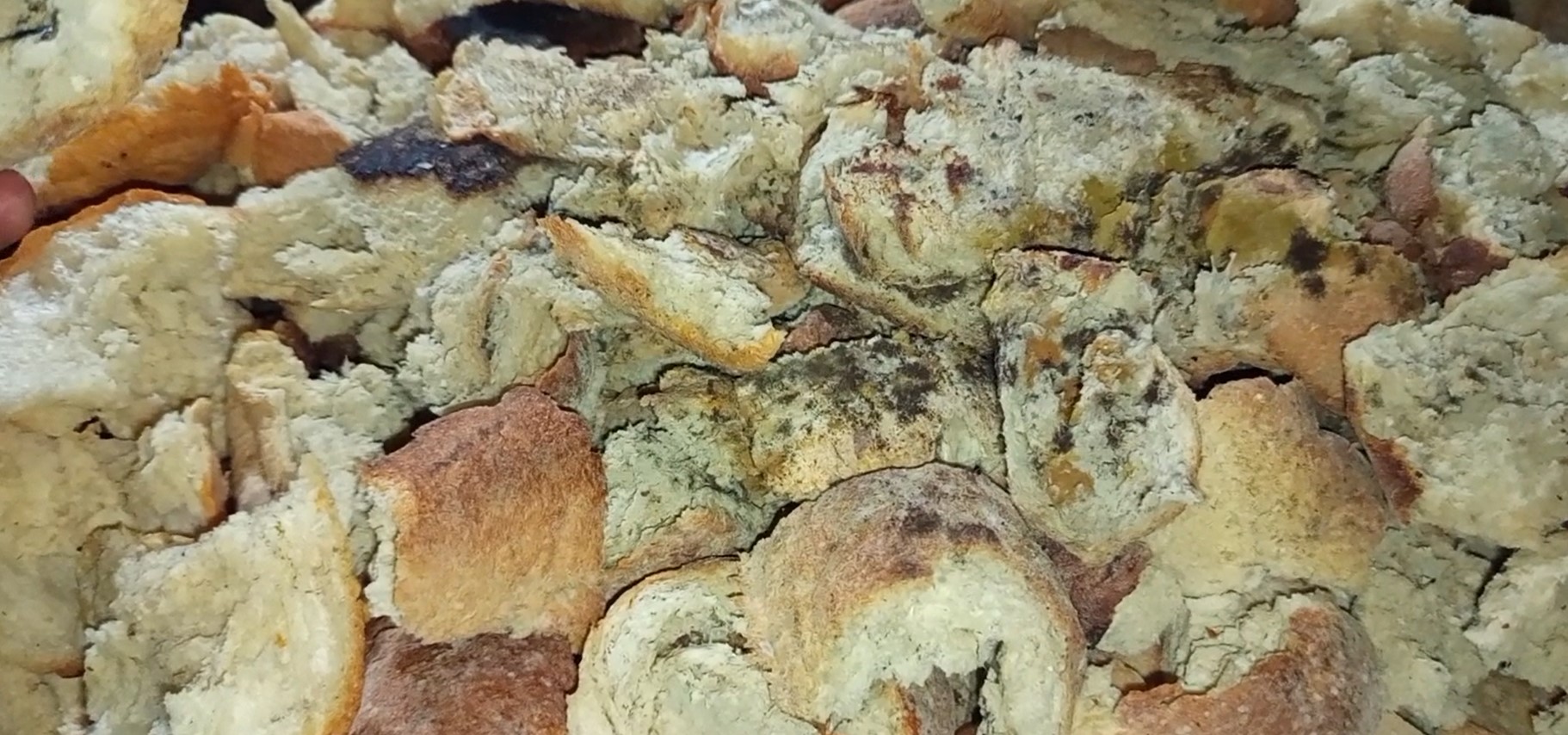 වැල්ලවායේ ජරාව කෑමට දුන් 15 කට සහ කල් ඉකුත් වූ වියලි මිරිස් සඟවාගෙන සිටි වත්තල පුද්ගලයකුට නඩු වැල්ලවායේ ජරාව කෑමට දුන් 15 කට සහ කල් ඉකුත් වූ වියලි මිරිස් සඟවාගෙන සිටි වත්තල පුද්ගලයකුට නඩු