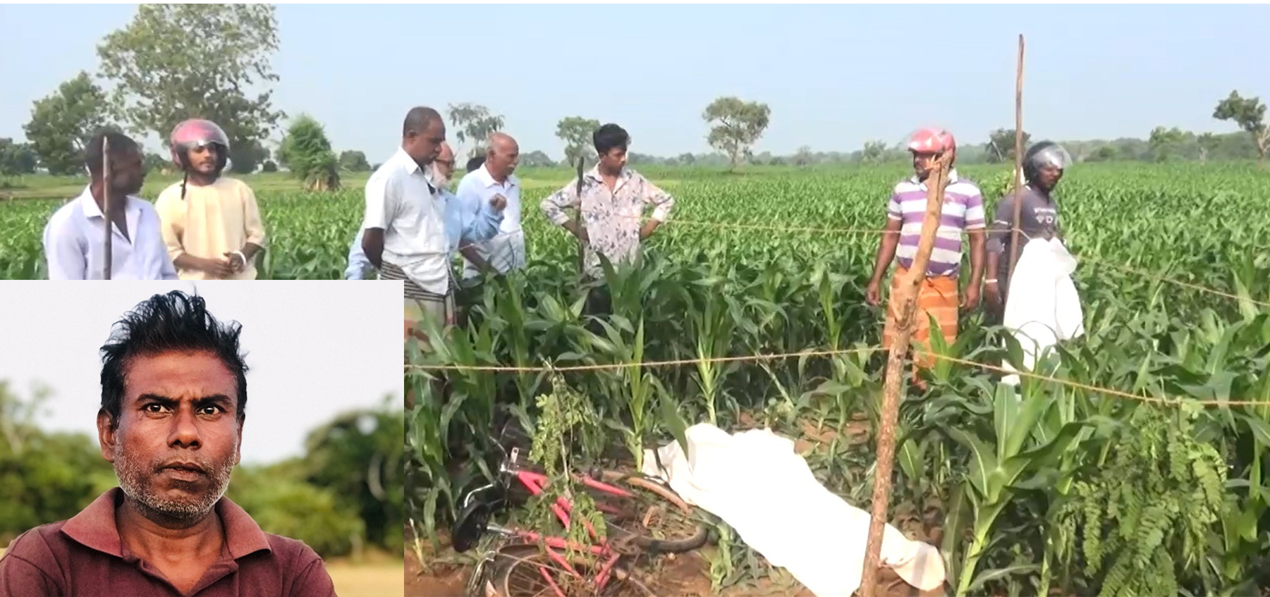 කහටගස්දිගිලිය – දිවුල්වැව සතියක් තුළ දෙවැනියාත් වන අලියකුට බිළි