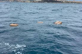 කටුකුරුන්ද මුහුදේ පාවී ආ හෑෂ් මත්ද්රව්ය කිලෝ 12 කට ආසන්න ප්රමාණයක් පොලිස් බාරයට කටුකුරුන්ද මුහුදේ පාවී ආ හෑෂ් මත්ද්රව්ය කිලෝ 12 කට ආසන්න ප්රමාණයක් පොලිස් බාරයට