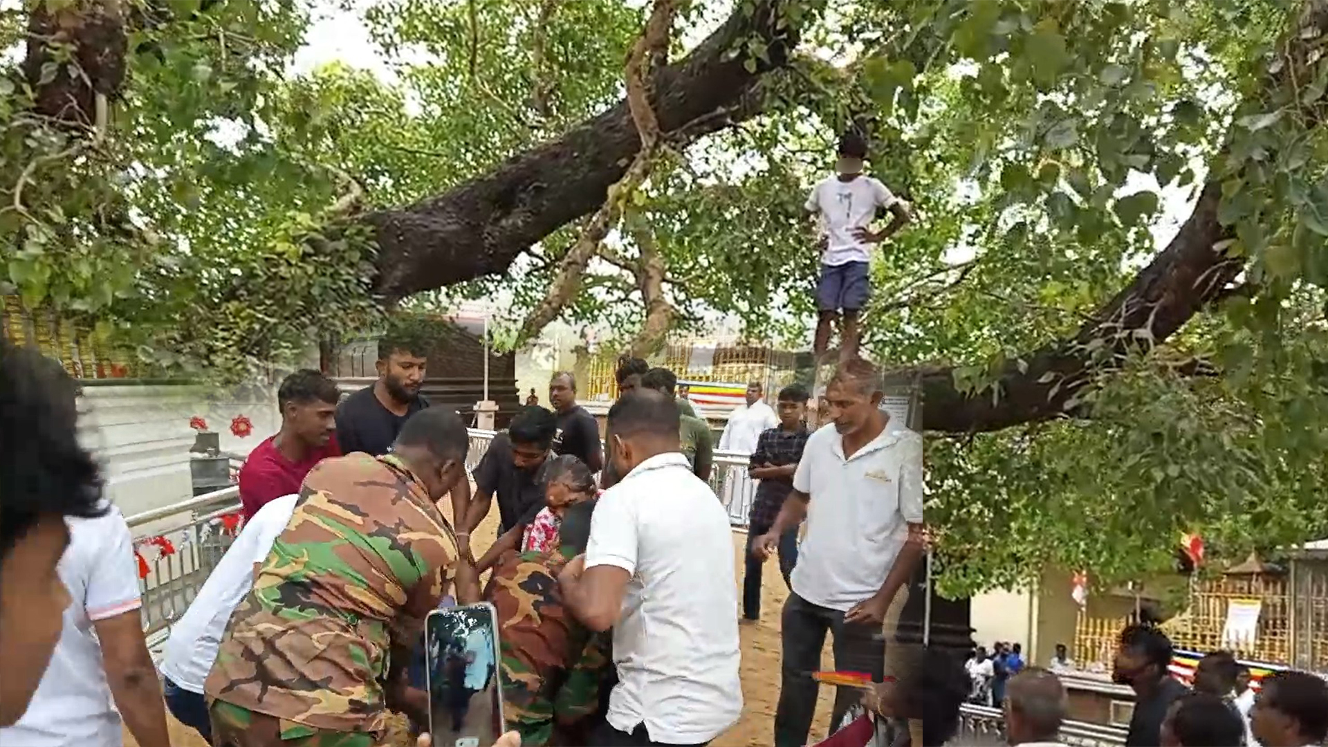 කතරගම දේවාලය පිටුපස පිහිටි බෝ ගසට නැග  මත් පෙති නැතිව තරුණයෙක් යකා නටයි