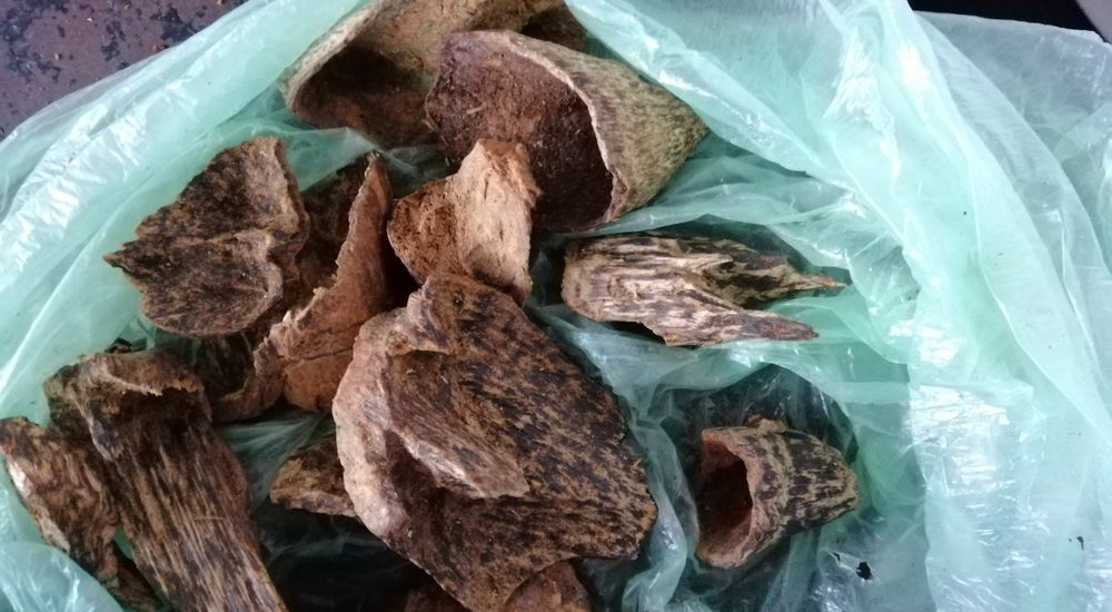 මිලියන 622 ක වල්ලා පට්ටා ස්මග 3 ක් අත්අඩංගුවට