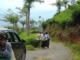 රු. මි.500 කින් අබලන් වතු මාර්ග හදන්න යයි