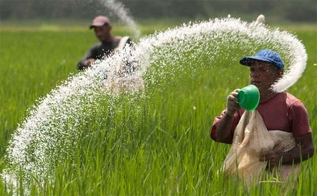 පොහොර සහනාධාර ලෙස රුපියල් මිලියන 4,822 ගෙවා අවසන්