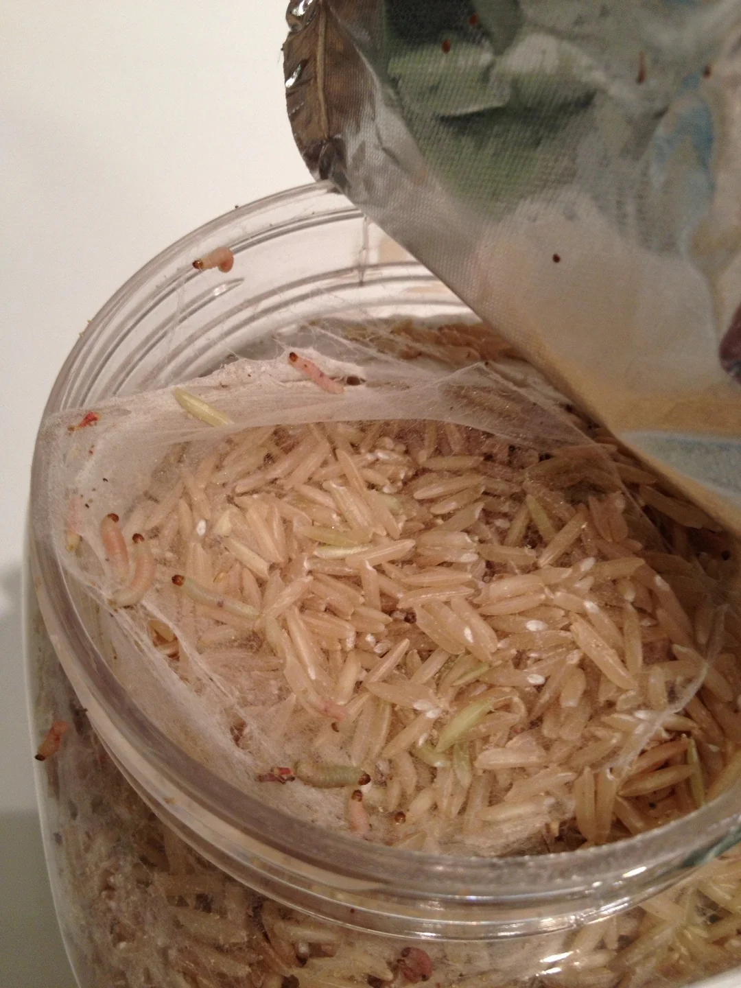 ගං වතුරට හසුව පරිභෝජනයට නුසුදුසු සහල් වෙළෙඳපලට එවන කූඨ ජාවාරමක්